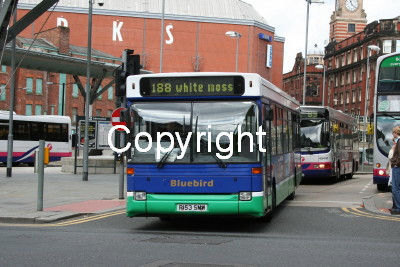 Bluebird R153SMW (n/s)