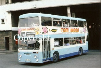Leon MS No. 105 SWT433L - orig. Felix, Hatfield