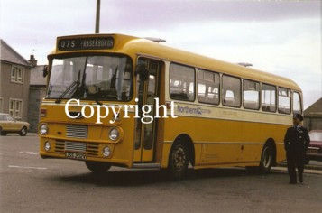 Alexander (Northern) No. NT202 JSS202V