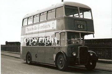 Brighton Hove & District No. 465 JAP503 (landscape)