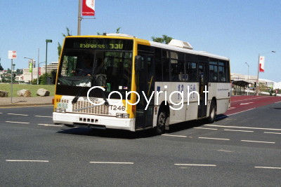 Brisbane Transport No. 246 246BLE