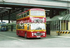 Black Prince No. 874 DGR874S