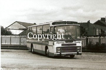 Alpine CLV419K - orig. Willow