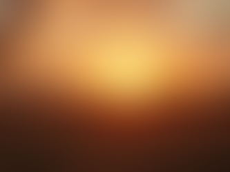 Capture Memories with Our Professional Photography Services