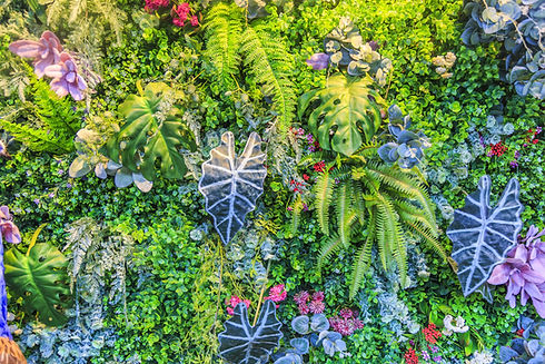 AdobeStock_169163694.jpeg