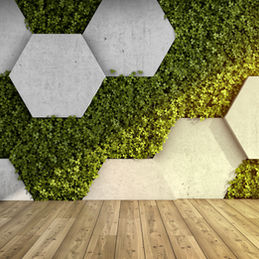 Captivating vertical garden/green wall system