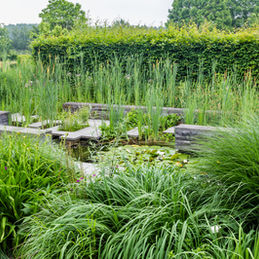 Abundant lush greenery, including bushes and decorative grass