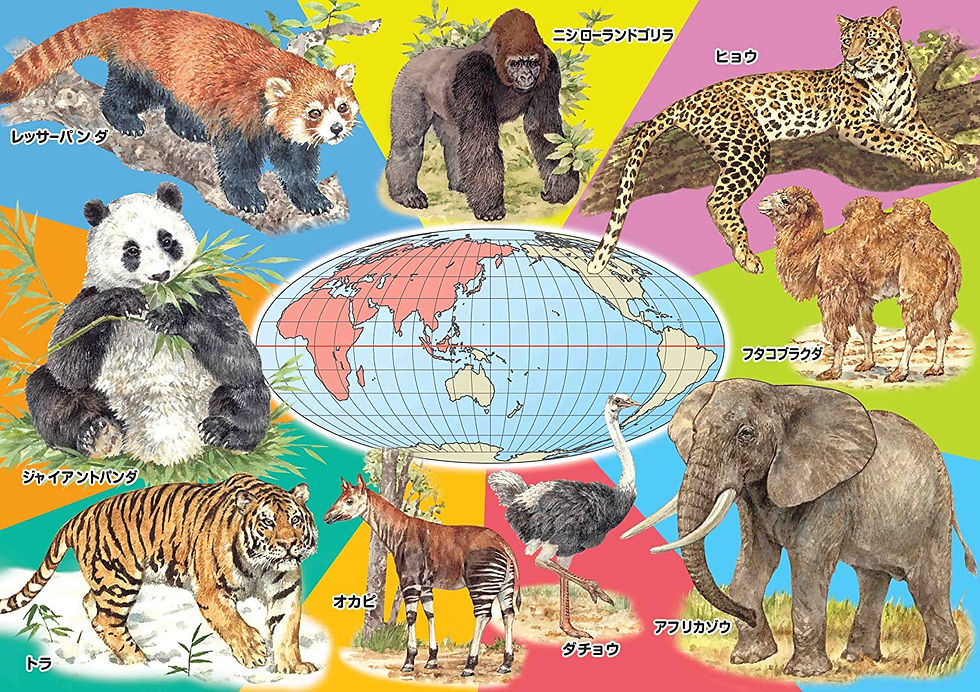 縮圖：兒童向 - KUMON STEP 5 動物家族 96/117/140塊