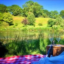 Picnic by the lake