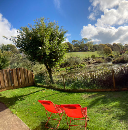Kingfisher garden in October 22