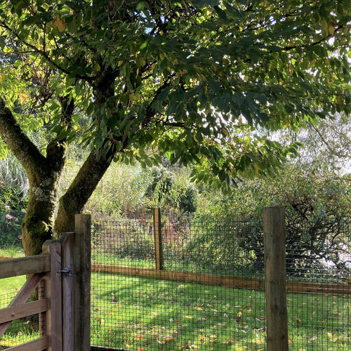 Otter garden October 22