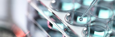 Pipetting Samples