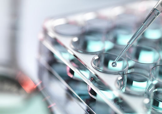 Pipetting Samples