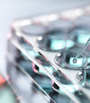 Pipetting Samples