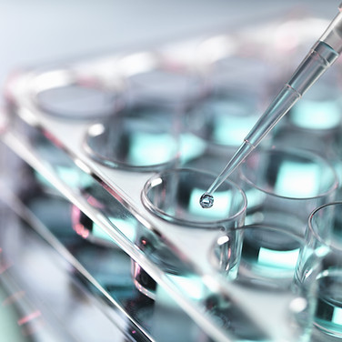 Pipetting Samples