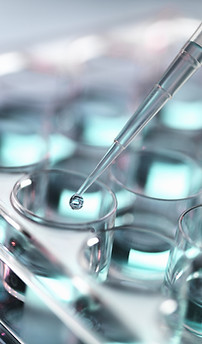 Pipetting Samples