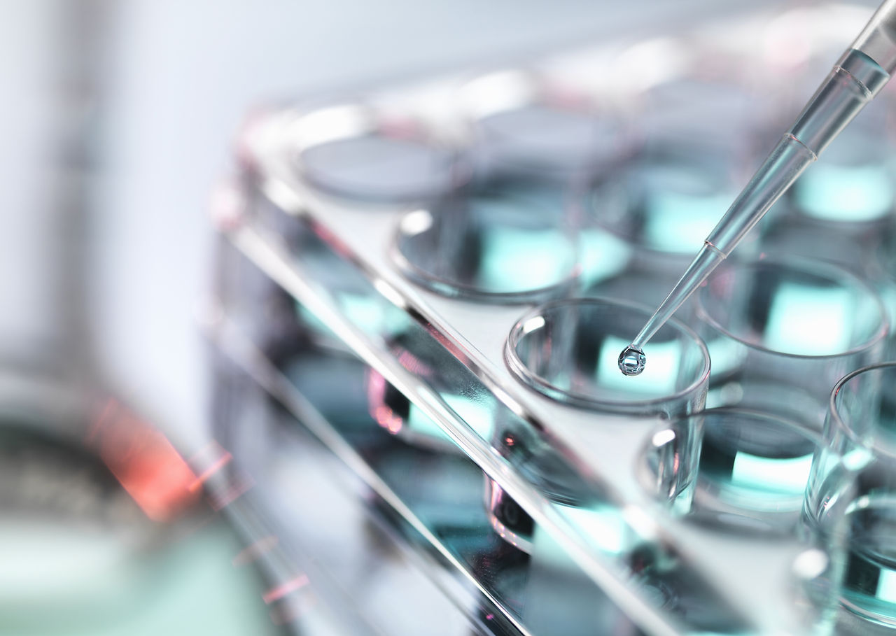Pipetting Samples