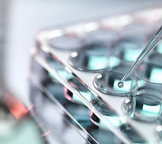 Pipetting Samples