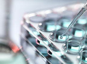 피펫 및 테스트 플레이트