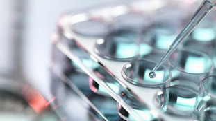 Medical Diagnostics and Pharmaceutical