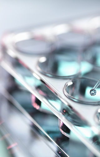 Pipetting Samples