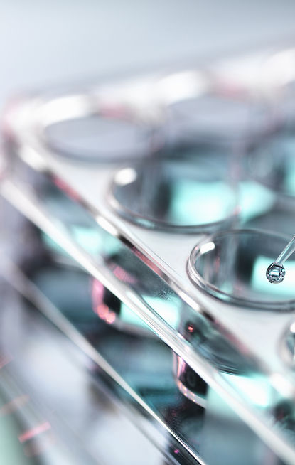 Pipetting Samples