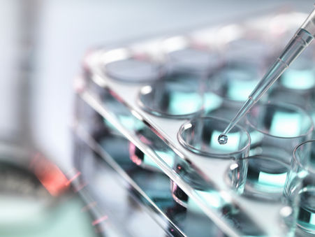 The long-term implications of CRISPR