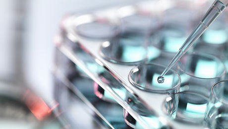 Pipetting Samples
