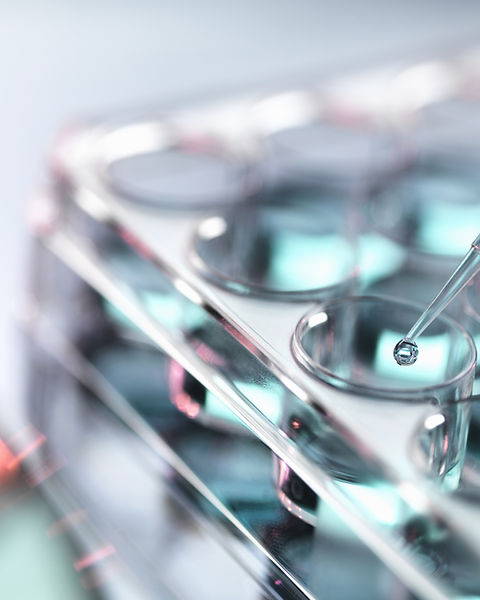 Pipetting Samples