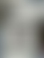 dettaglio architettonico decorativo di un palazzo milanese del novecento