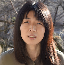 フリーライター／フリー翻訳者