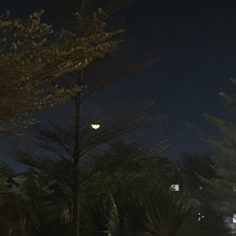 “Will the poetry that is leaving me, turn around to look at me, to say goodbye…”