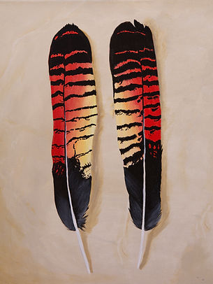 Black Cockatoo Feather copy.jpg
