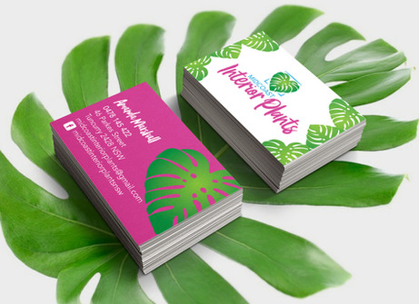 Midcoast Interior Plants