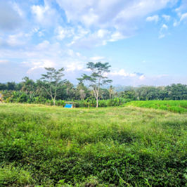 Land for Lease & Sale