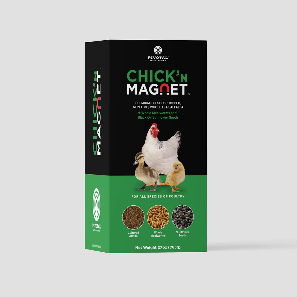 ChicknMagnet.webp