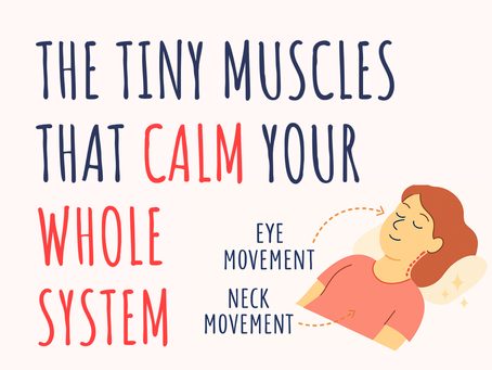 The Tiny Muscles That Calm Your Whole System