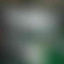 Pesantren Kilat 2024