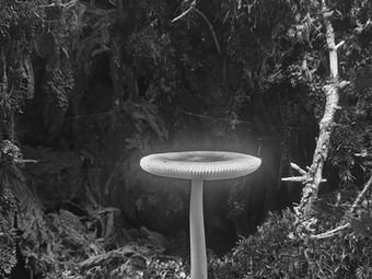20210912_101650b&w.jpg