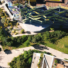 Planting on a development site