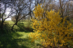 2015-04-04 09.46.13.jpg