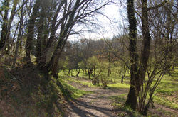 2015-04-04 09.38.08.jpg