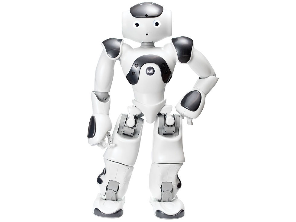 NAO.jpg