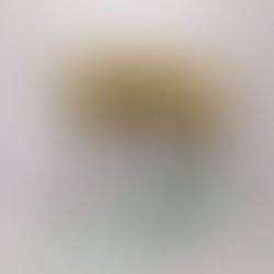 🤖🐕 Boston Dynamics’ Spot – The Robot Dog Changing the Future of Work