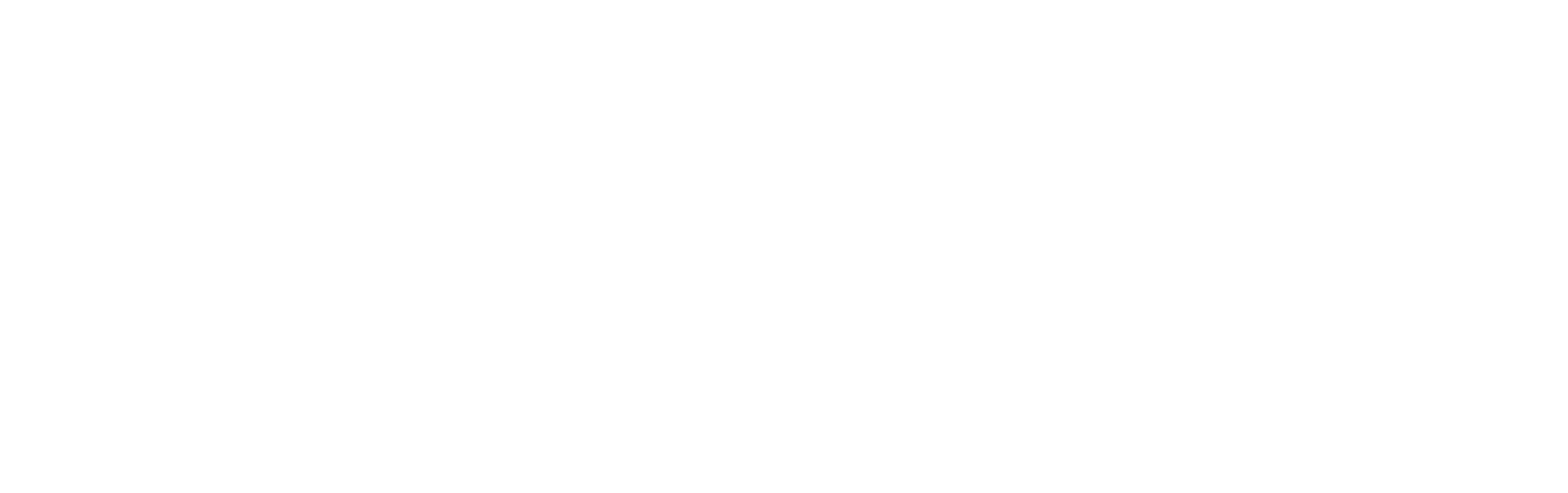 LimX Dynamics Logo.png