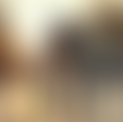 Exploring Leading Companies in Robotics