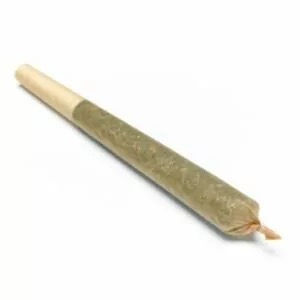ג׳וינט Joint