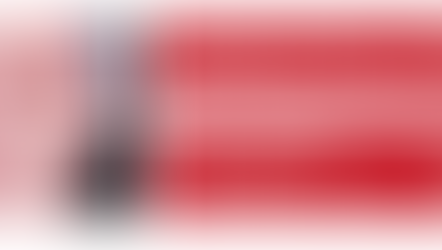 DIGITAL SCANNER | A NOLEGGIO, FINO AD ESAURIMENTO SCORTE 