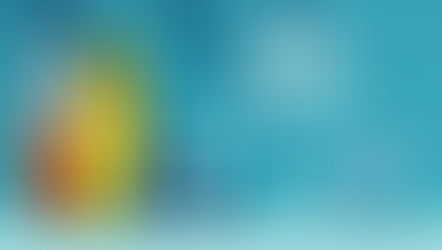 Buone Vacanze da Digital Facility!