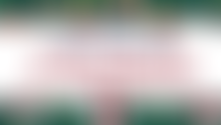 DIGITAL FACILITY AUGURA BUON NATALE